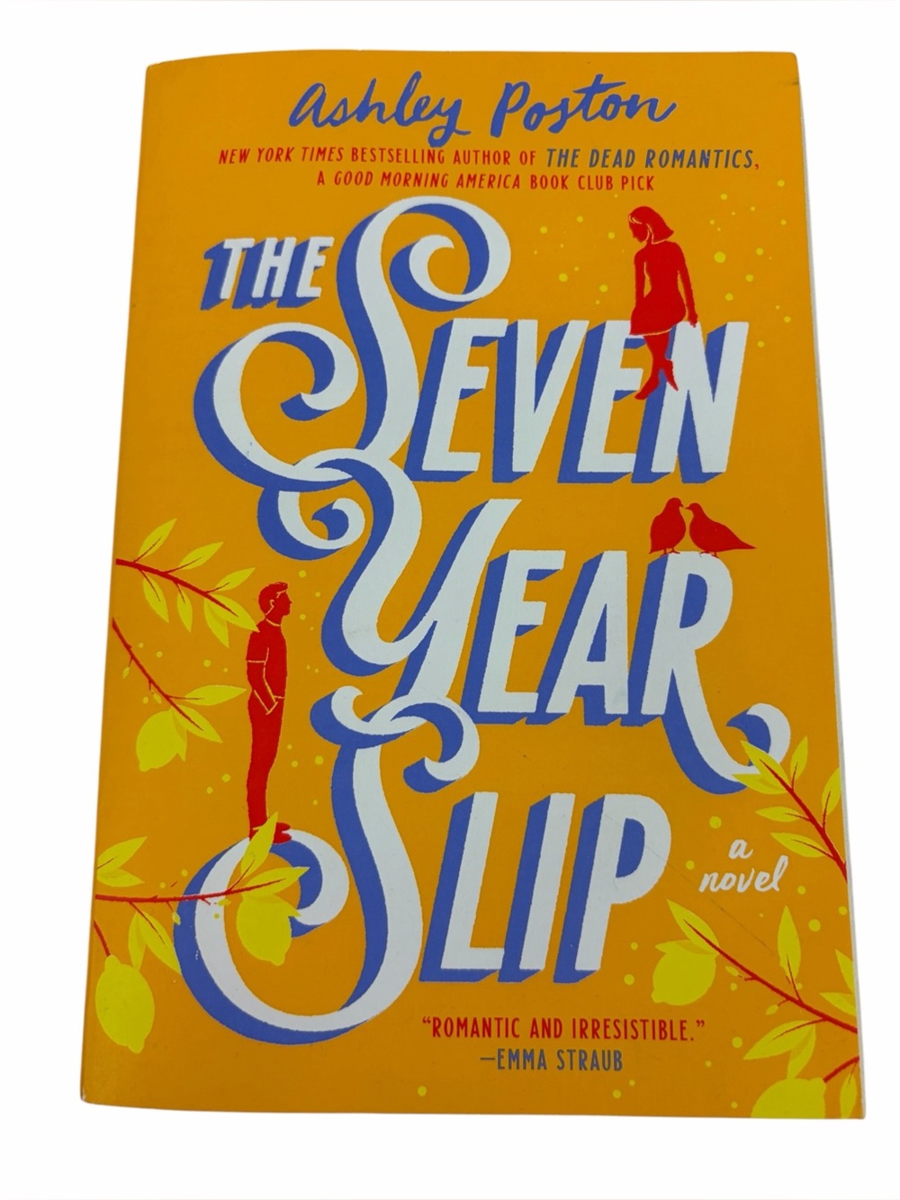 ✨3/$21✨ Ashley Poston The Seven Year Slip Paperback Romance Novel